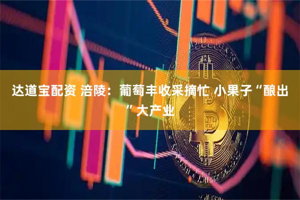 达道宝配资 涪陵：葡萄丰收采摘忙 小果子“酿出”大产业