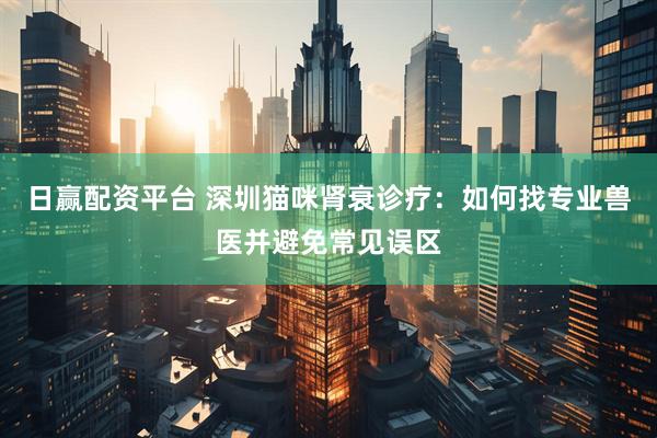 日赢配资平台 深圳猫咪肾衰诊疗：如何找专业兽医并避免常见误区